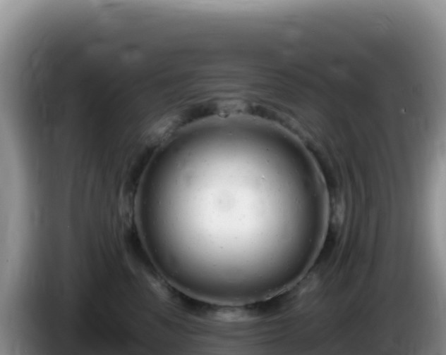 X0000086260666200704051304