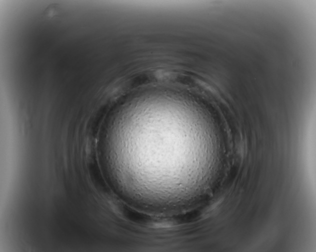 X0000086260667200704051304