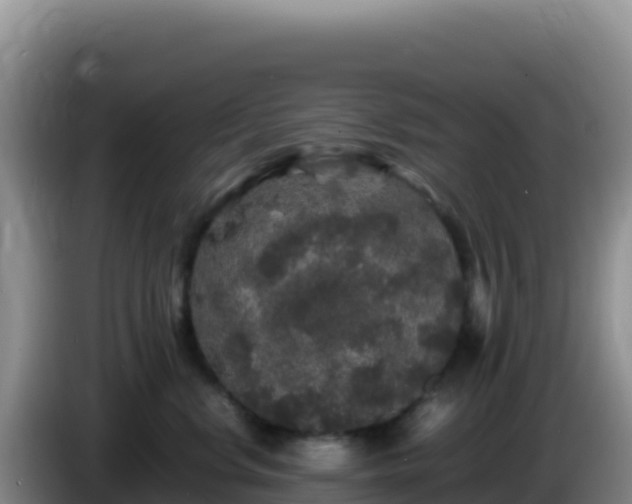 X0000086260668200704051304