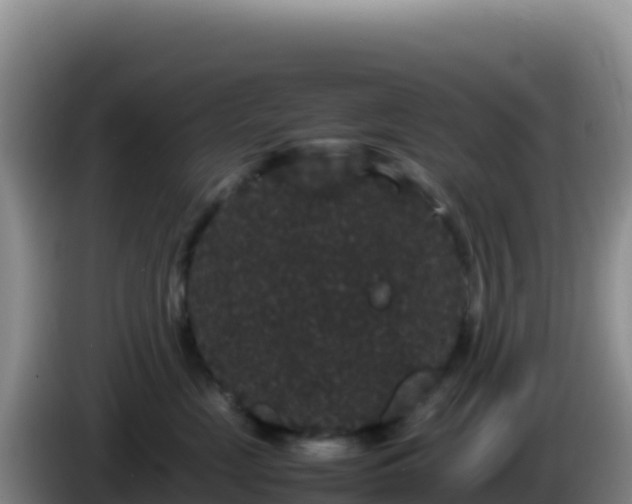 X0000086260669200704051304