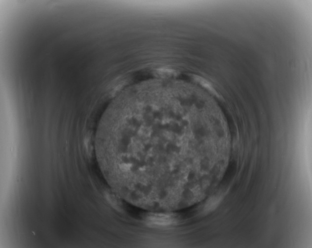 X0000086260671200704051304