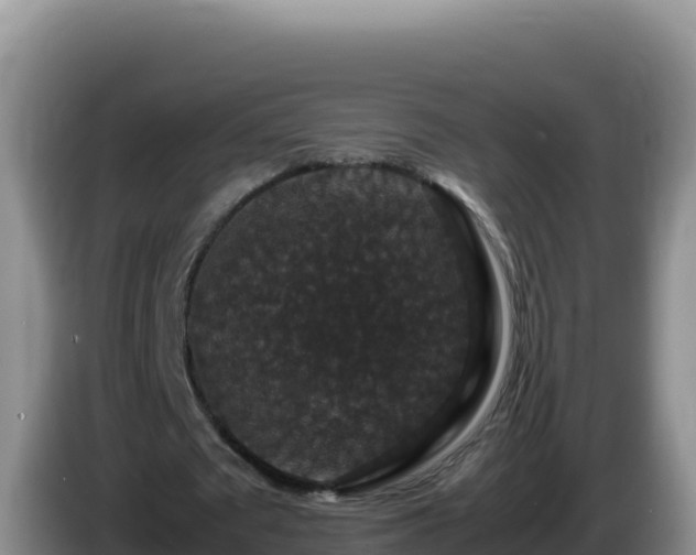 X0000086260673200704051303