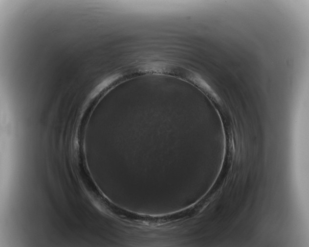X0000086260674200704051303