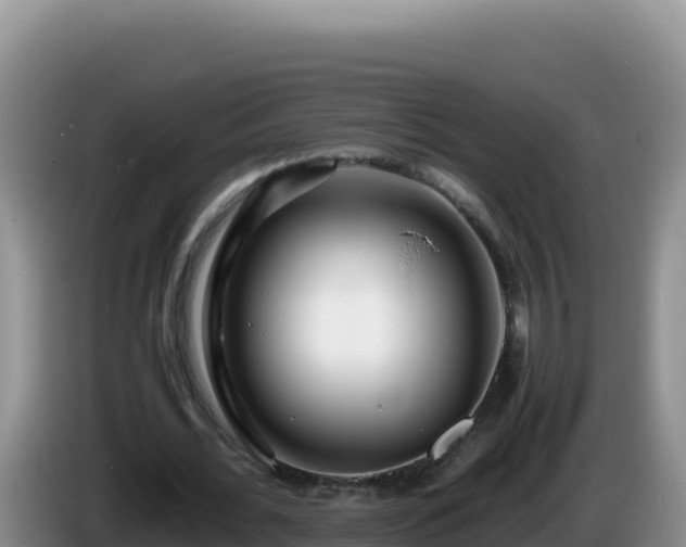 X0000086260676200704051303