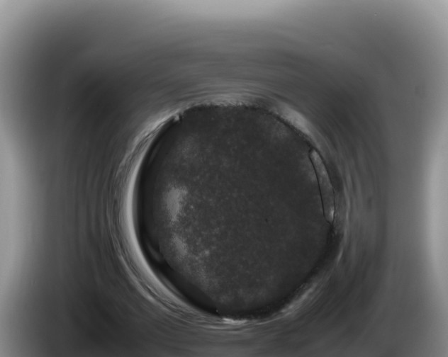 X0000086260677200704051303