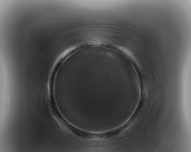 X0000086260678200704051303
