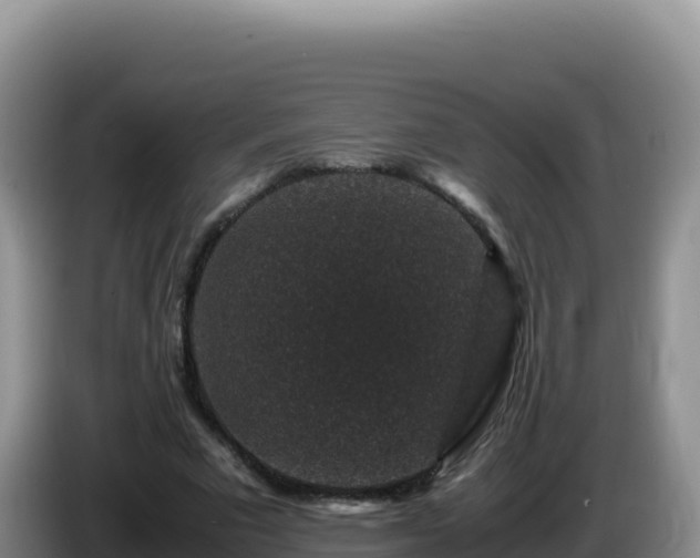 X0000086260681200704051303