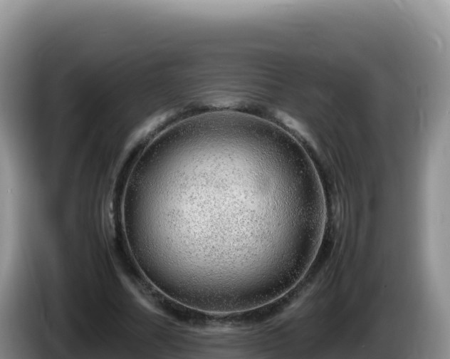X0000086260682200704051303