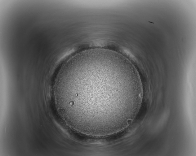 X0000086260683200704051303
