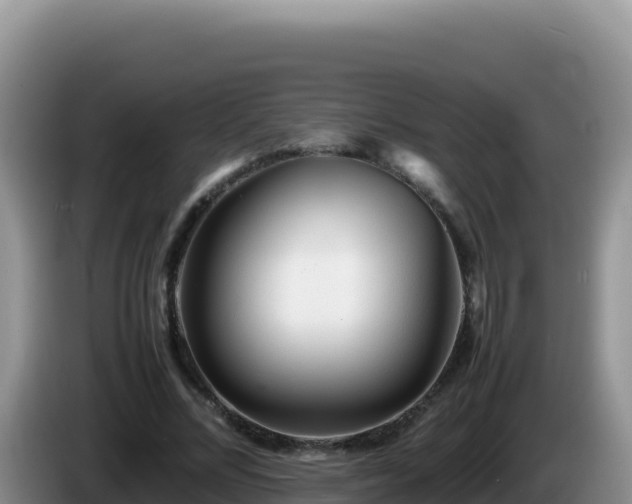 X0000086260684200704051303