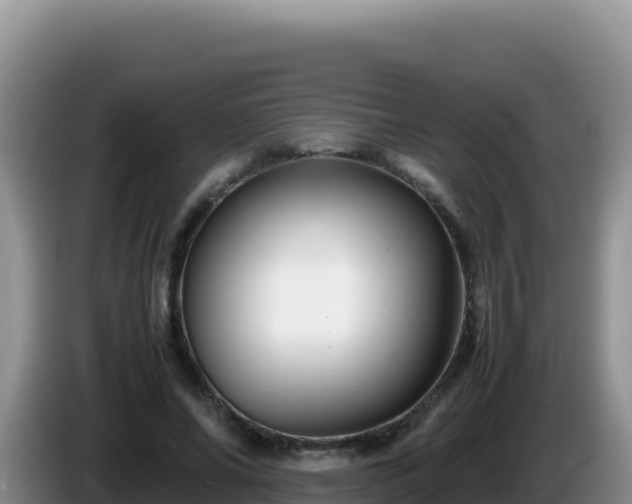 X0000086260686200704051303