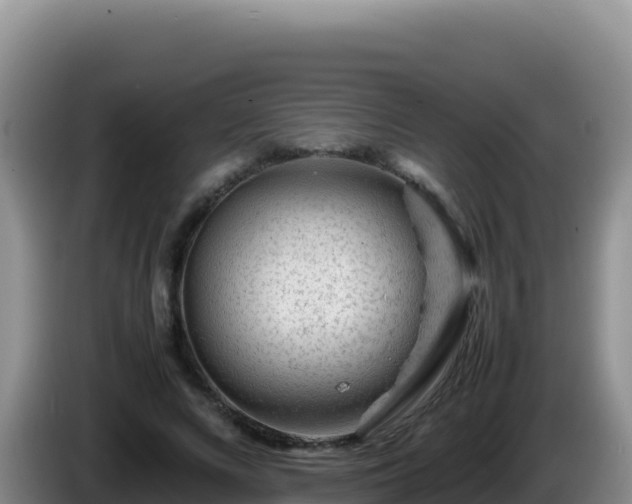 X0000086260688200704051303