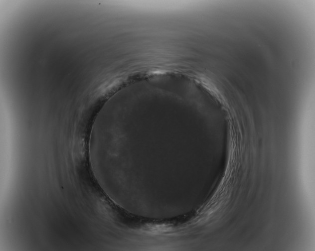 X0000086260689200704051303