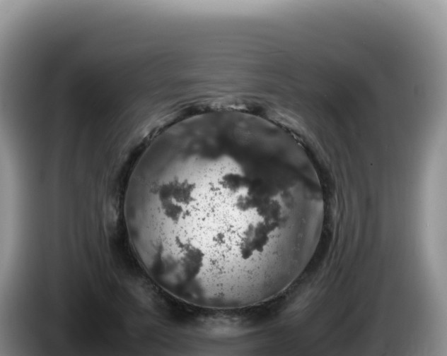 X0000086260691200704051303