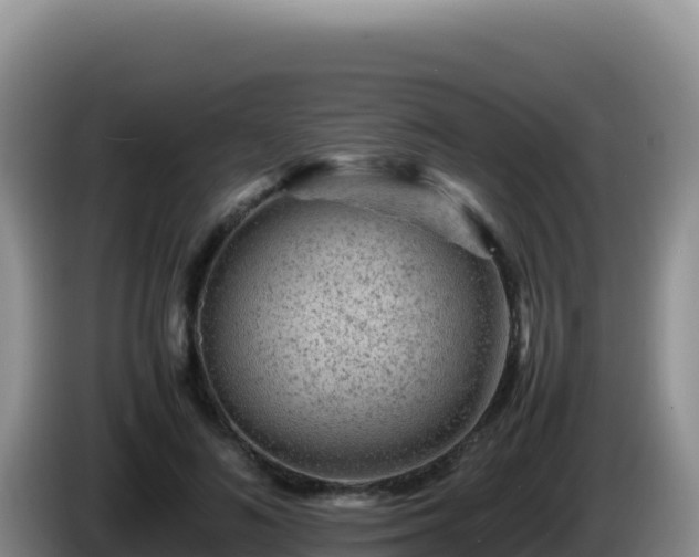 X0000086260692200704051303