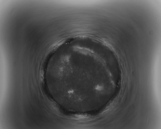 X0000086260693200704051303