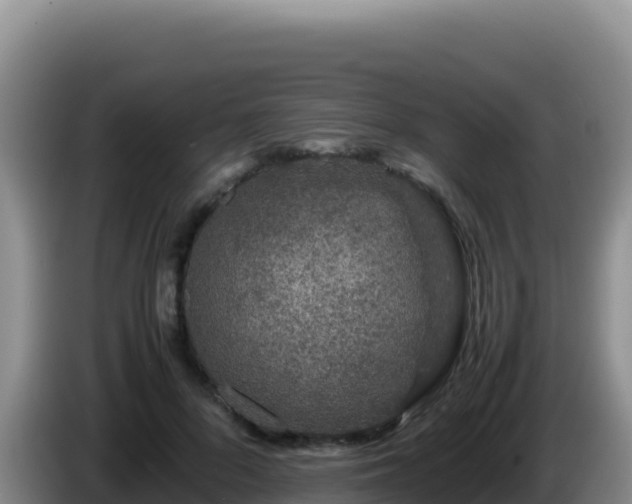 X0000086260696200704051303