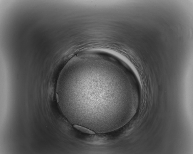 X0000086260697200704051303