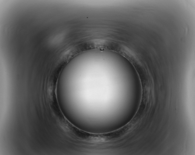 X0000086260698200704051303