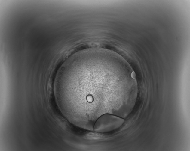 X0000086260699200704051303