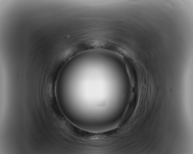 X0000086260700200704051303