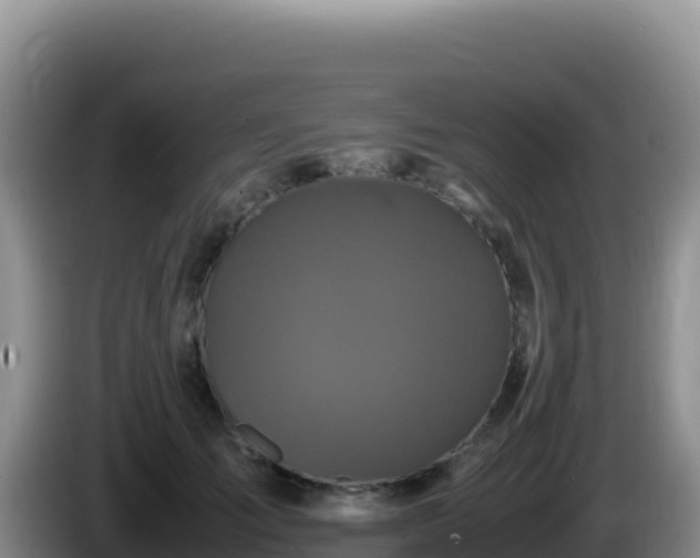 X0000086260701200704051303