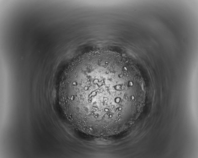 X0000086260703200704051302