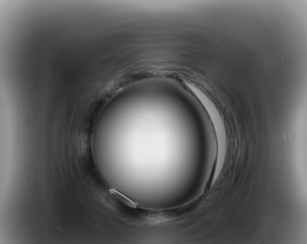 X0000086260704200704051302