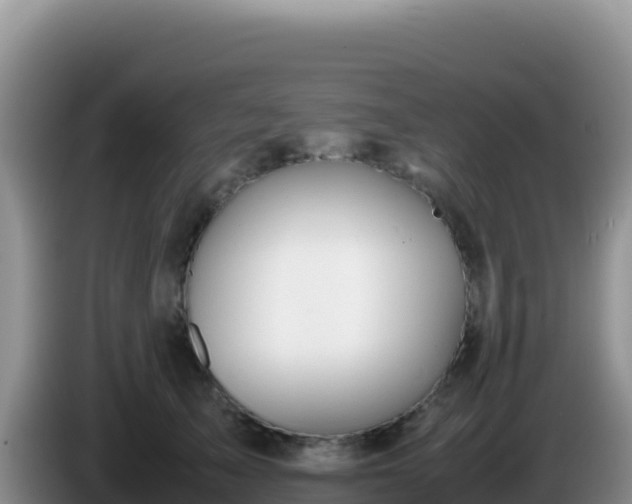 X0000086260705200704051302