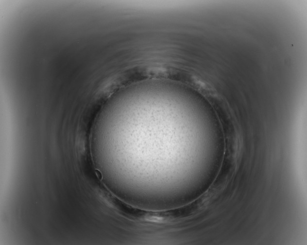 X0000086260706200704051302
