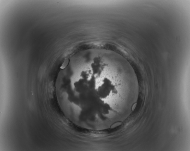 X0000086260707200704051302