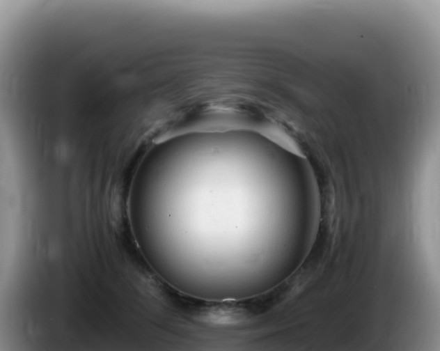 X0000086260708200704051302