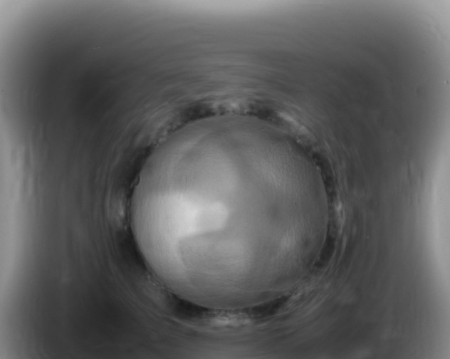 X0000086260709200704051302