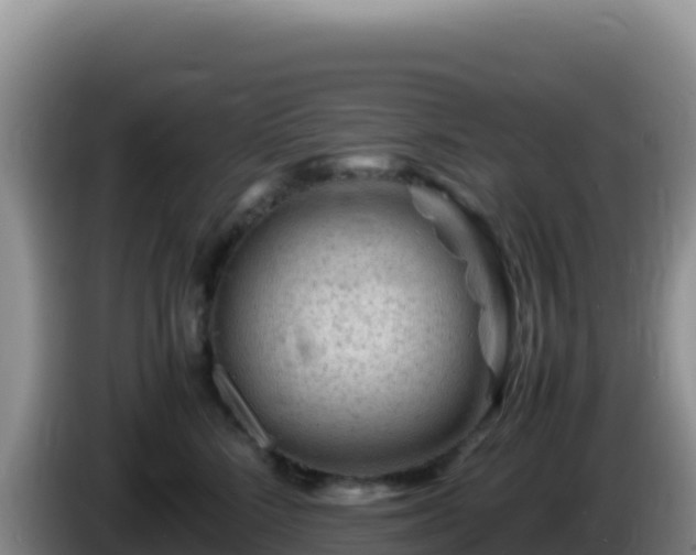 X0000086260712200704051302