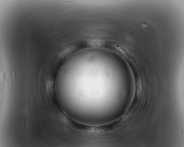 X0000086260714200704051302