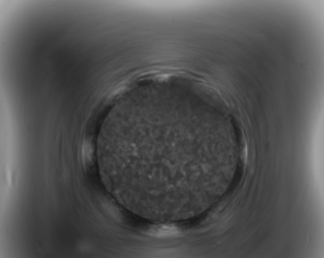 X0000086260715200704051302