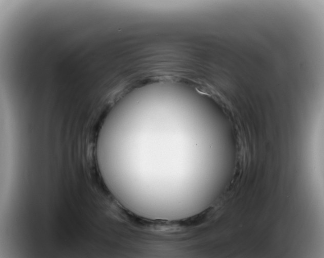 X0000086260716200704051302