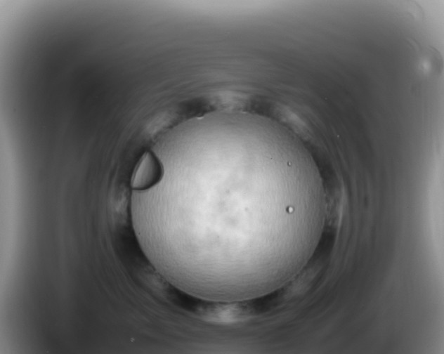 X0000086260717200704051302