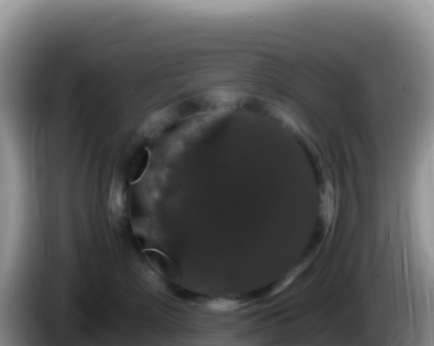 X0000086260718200704051302