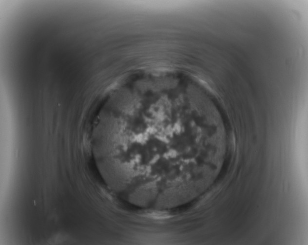 X0000086260719200704051302