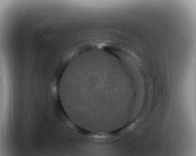 X0000086260720200704051302