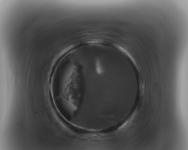 X0000086260721200704051302