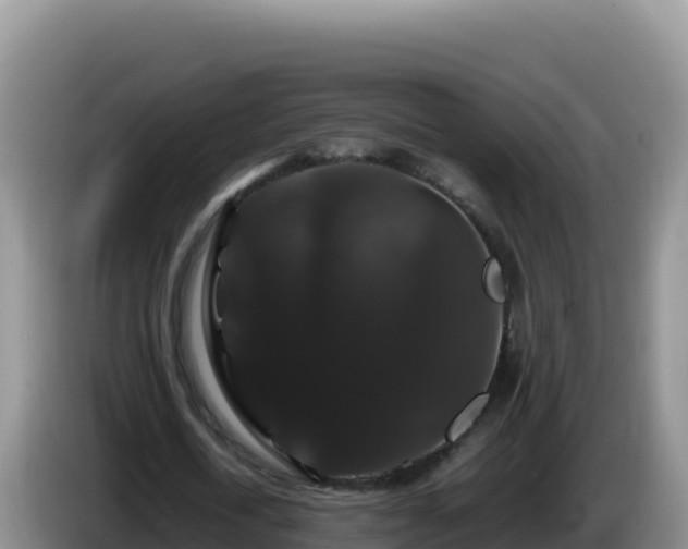 X0000086260722200704051302