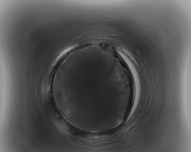 X0000086260723200704051302