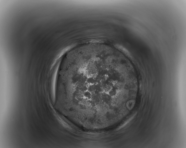 X0000086260725200704051302