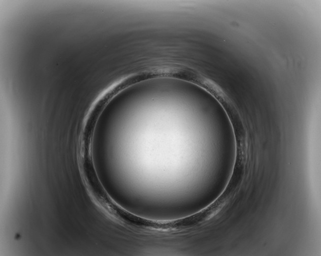 X0000086260726200704051302