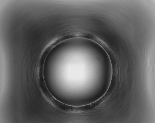 X0000086260730200704051302