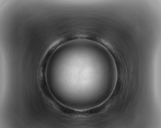 X0000086260731200704051302