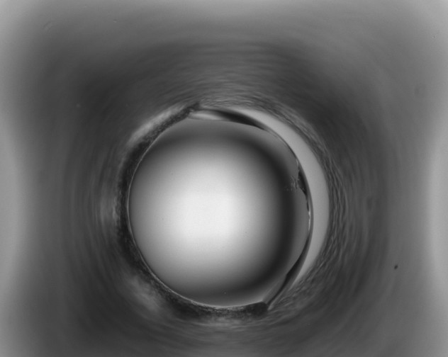 X0000086260732200704051302