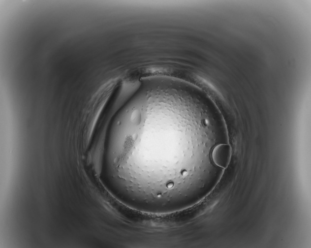 X0000086260733200704051302